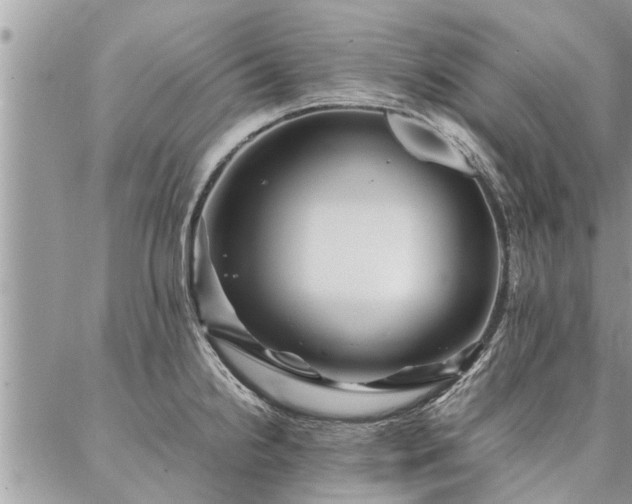 X0000087391238200704201234