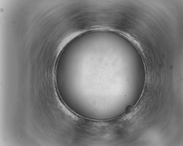 X0000087391239200704201234