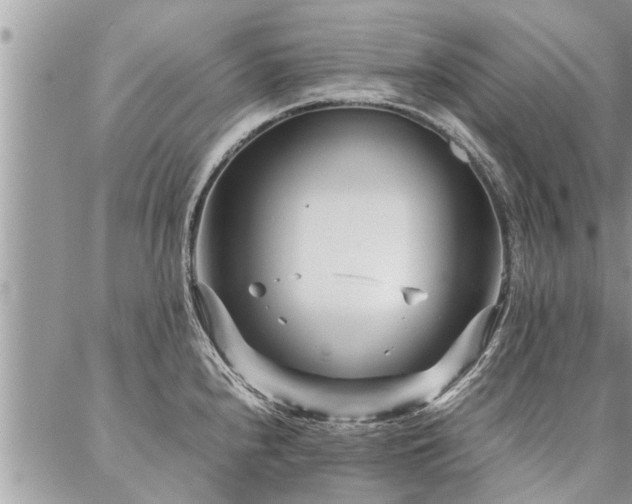 X0000087391240200704201234