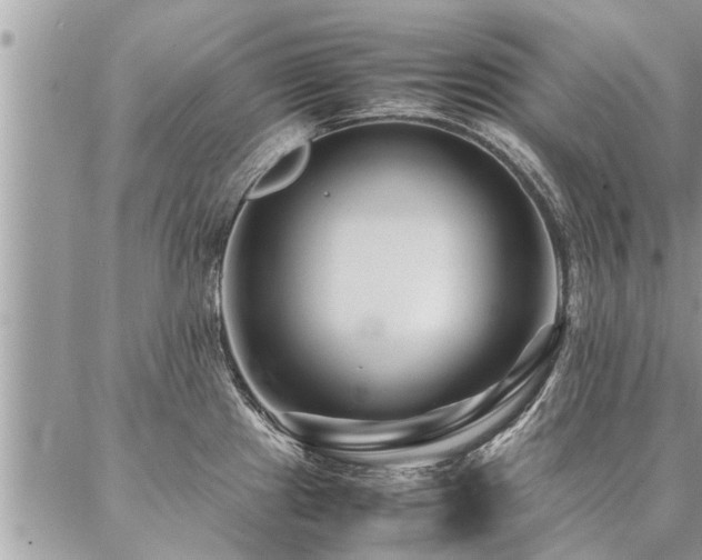 X0000087391241200704201234