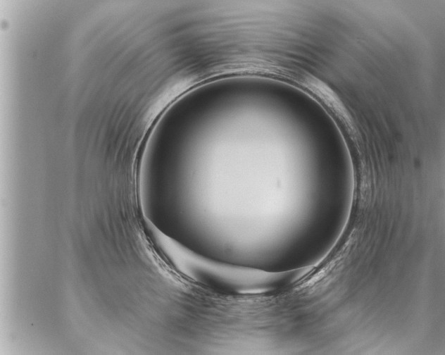 X0000087391242200704201234