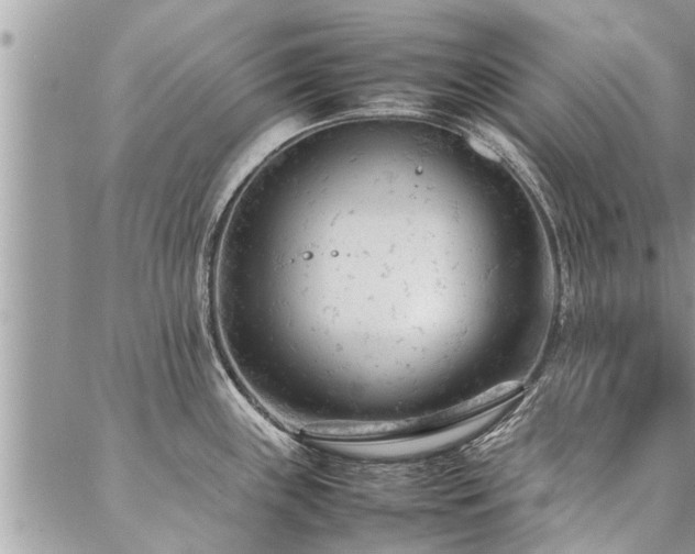 X0000087391243200704201234