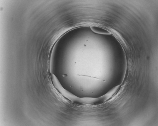 X0000087391244200704201234