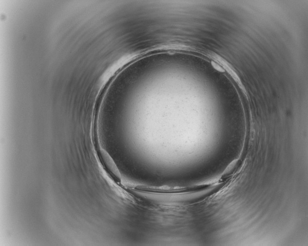 X0000087391245200704201234