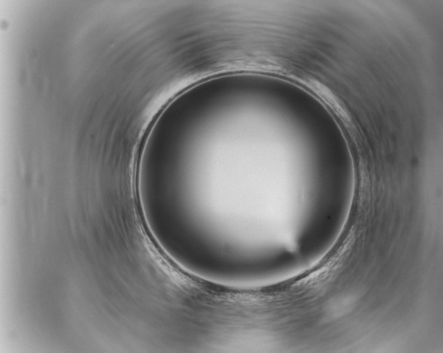 X0000087391246200704201234