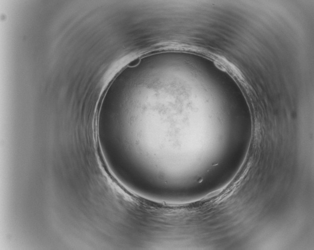 X0000087391247200704201234