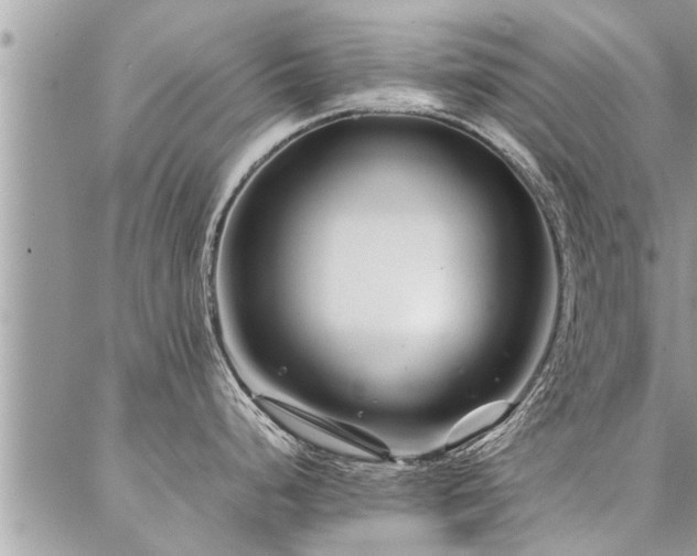 X0000087391248200704201234