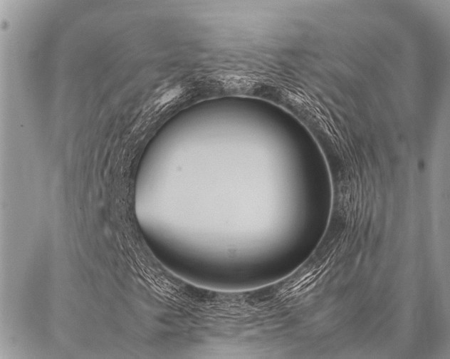 X0000087391249200704201233