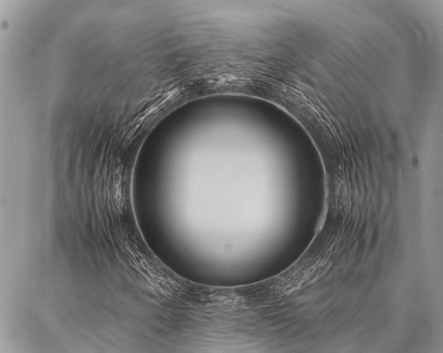 X0000087391250200704201233