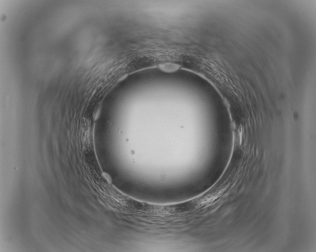 X0000087391251200704201233