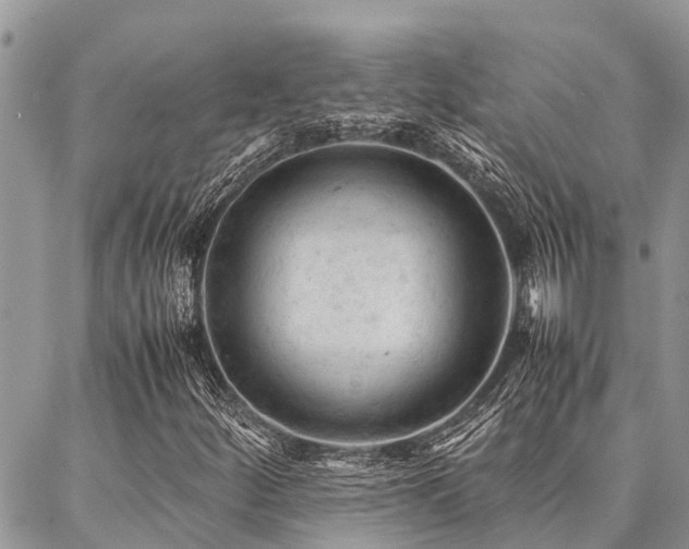 X0000087391252200704201233