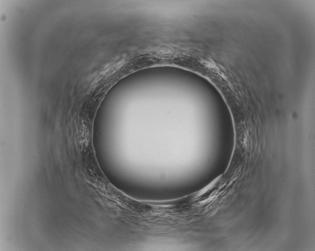 X0000087391253200704201233