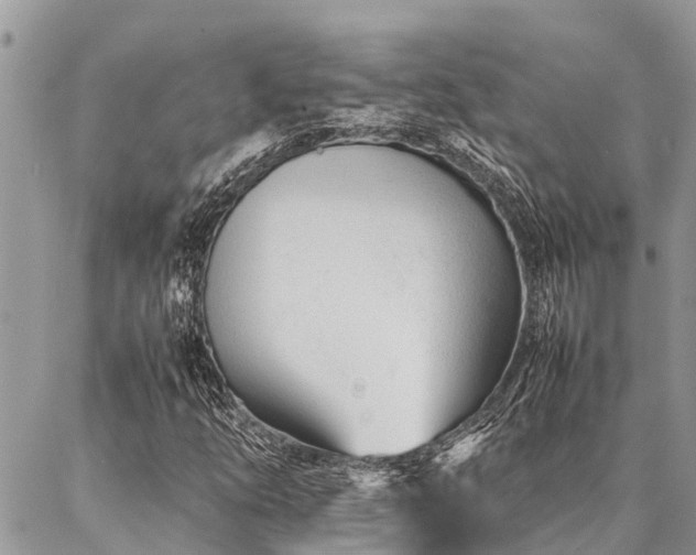 X0000087391254200704201233