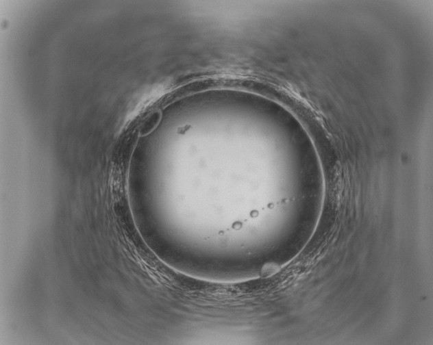 X0000087391255200704201233