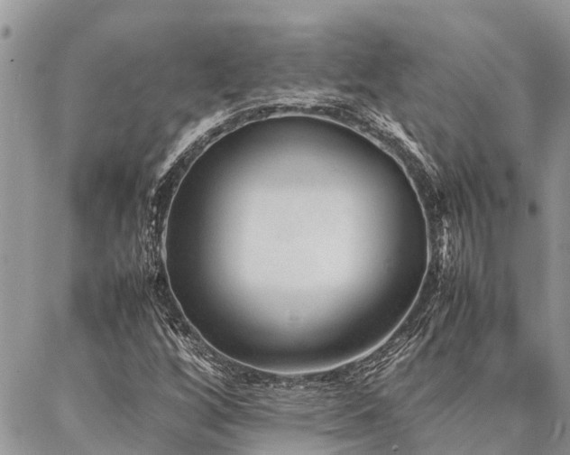 X0000087391256200704201233