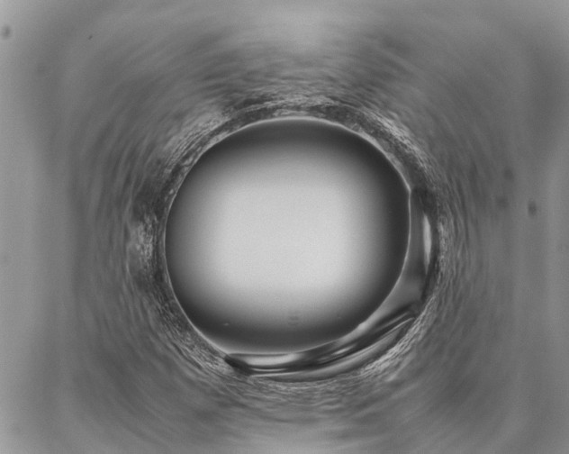 X0000087391257200704201233