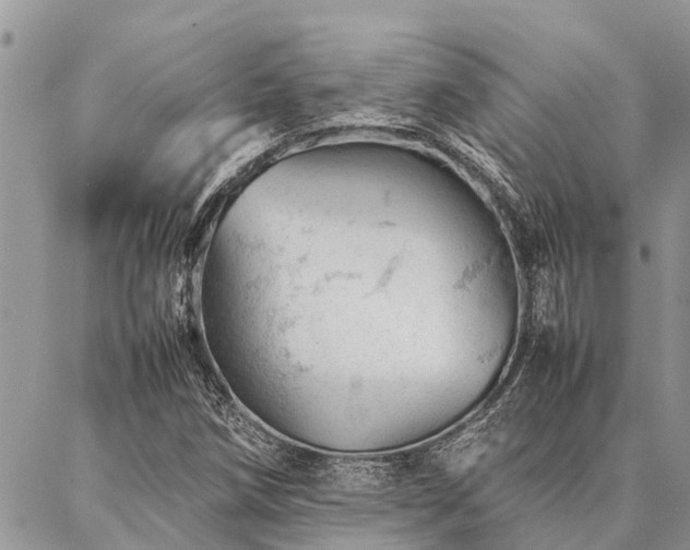 X0000087391258200704201233