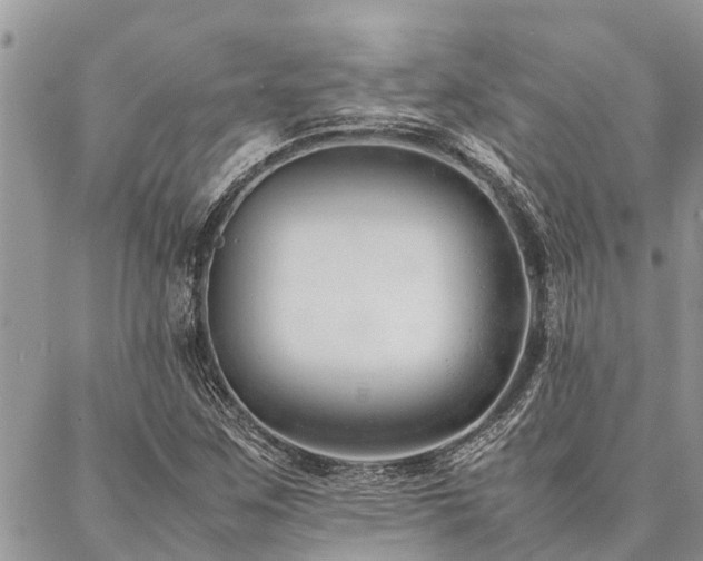 X0000087391259200704201233