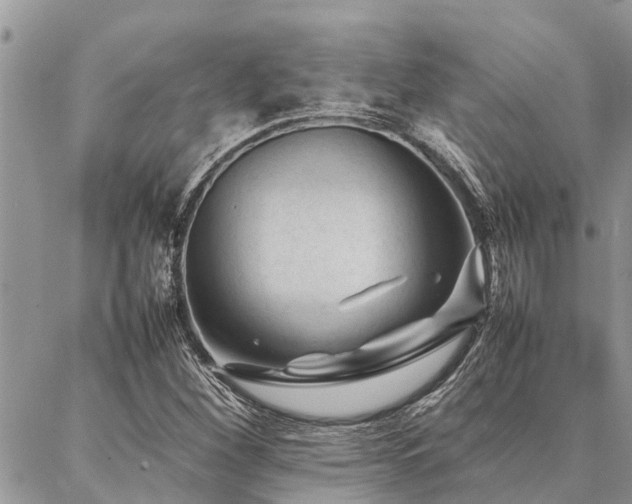 X0000087391260200704201233