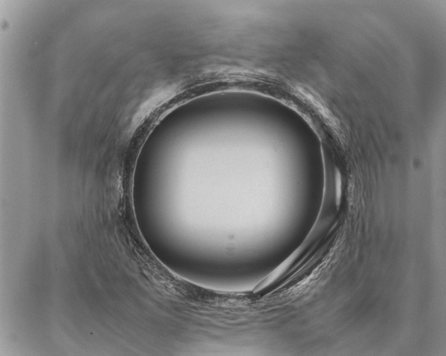 X0000087391261200704201233