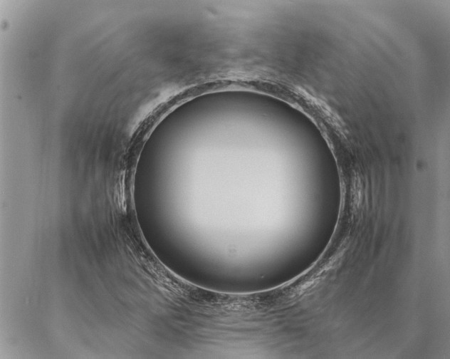 X0000087391262200704201233