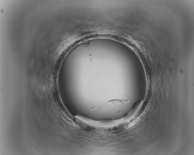 X0000087391263200704201233