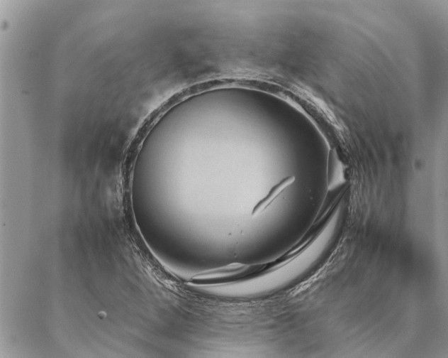 X0000087391264200704201233