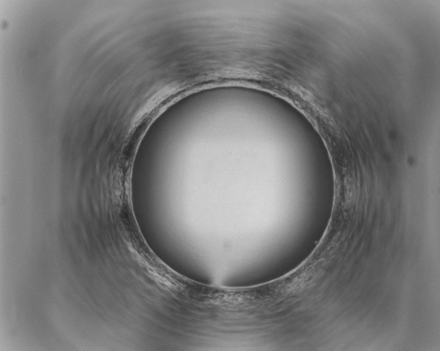 X0000087391266200704201233