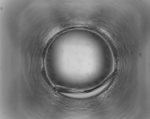 X0000087391267200704201233