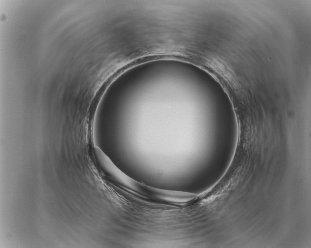 X0000087391268200704201233