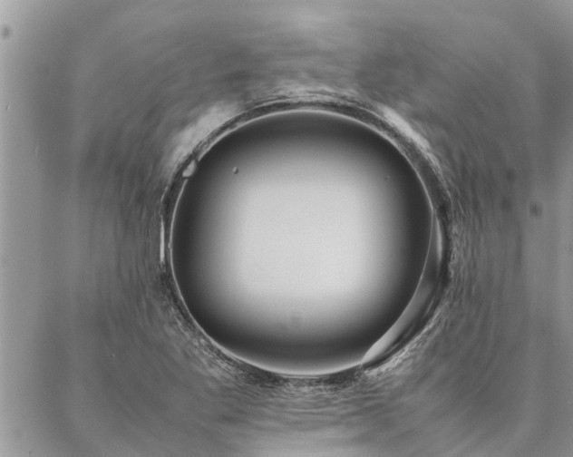 X0000087391269200704201233