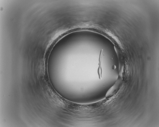 X0000087391270200704201233