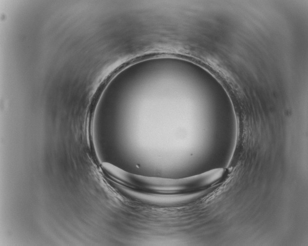 X0000087391272200704201233