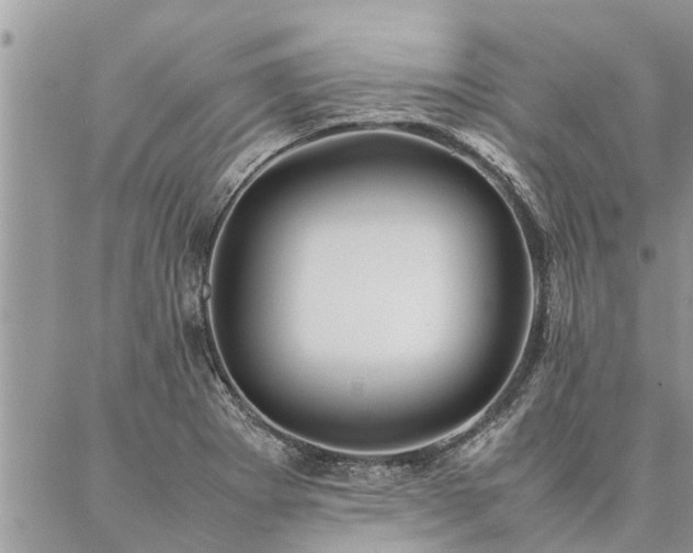 X0000087391273200704201233