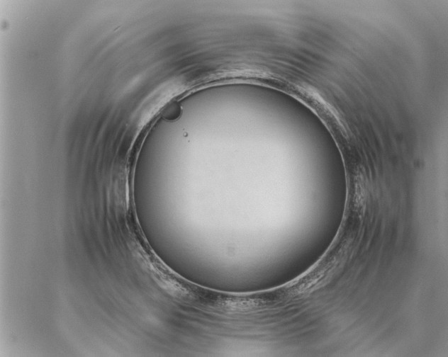 X0000087391274200704201233