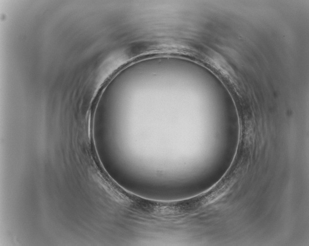 X0000087391275200704201233