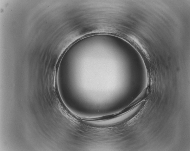 X0000087391276200704201233