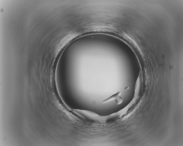 X0000087391277200704201233