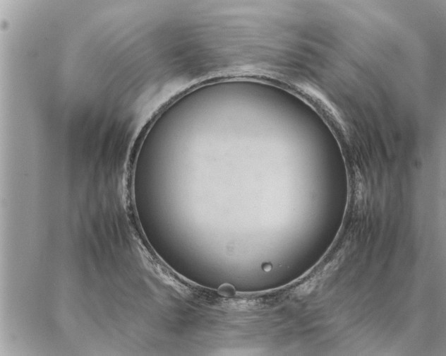 X0000087391278200704201233