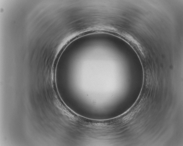 X0000087391280200704201233