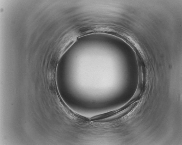 X0000087391281200704201233