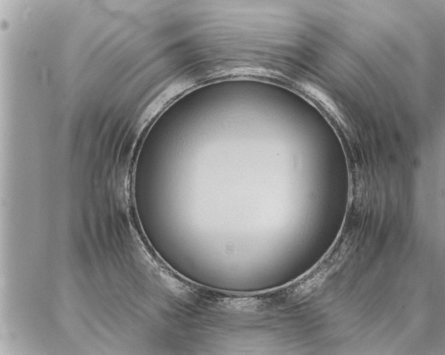 X0000087391282200704201233