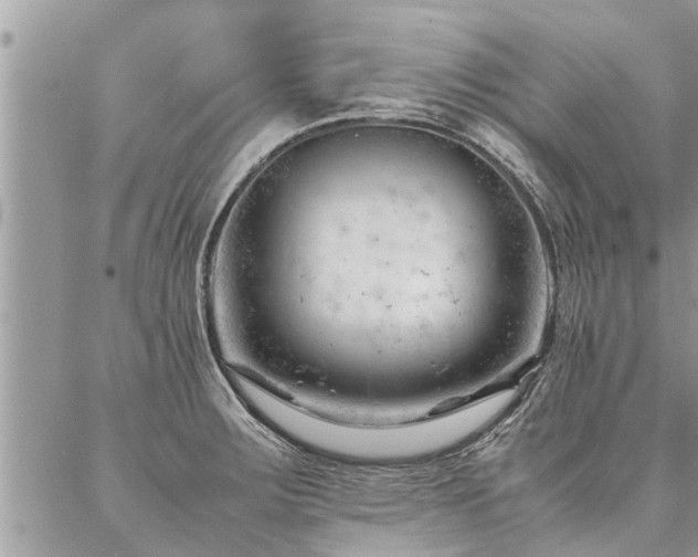 X0000087391283200704201233