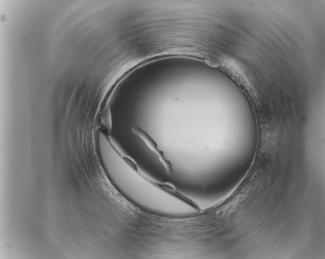 X0000087391284200704201233