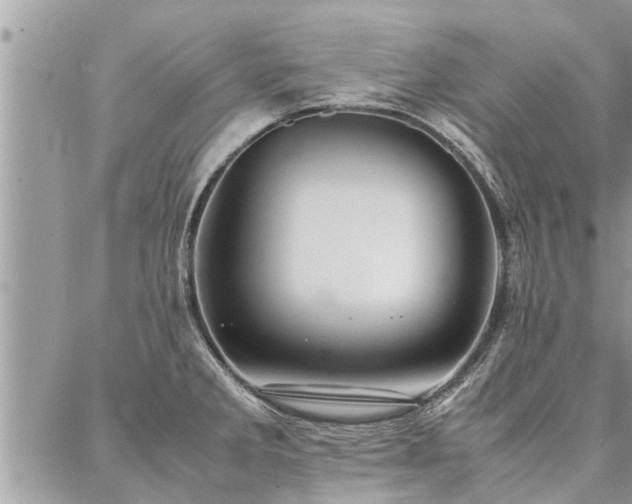 X0000087391285200704201233