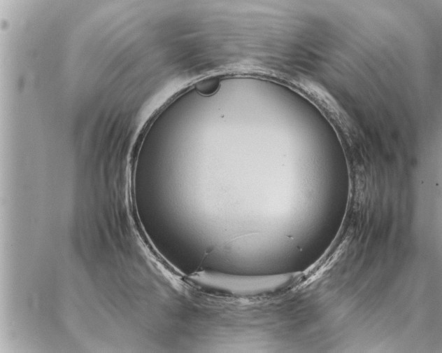 X0000087391286200704201233