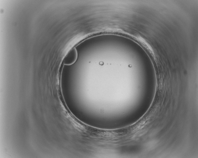 X0000087391287200704201233