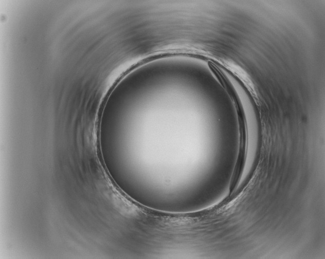 X0000087391288200704201233