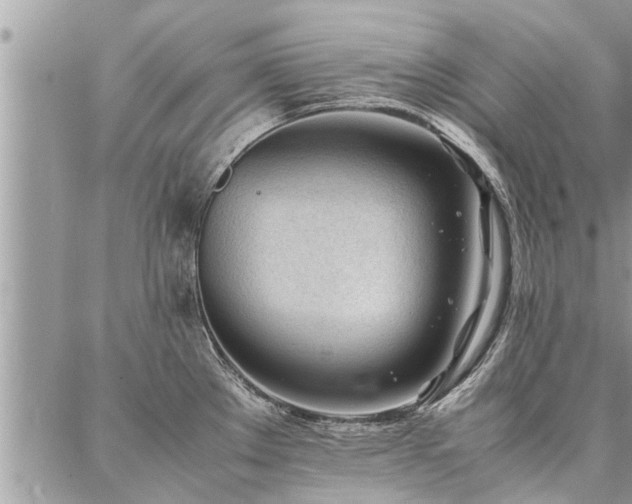 X0000087391289200704201233