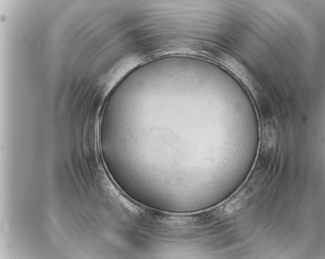 X0000087391290200704201233